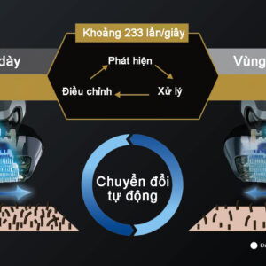 lamdash 5luoi 2024 7